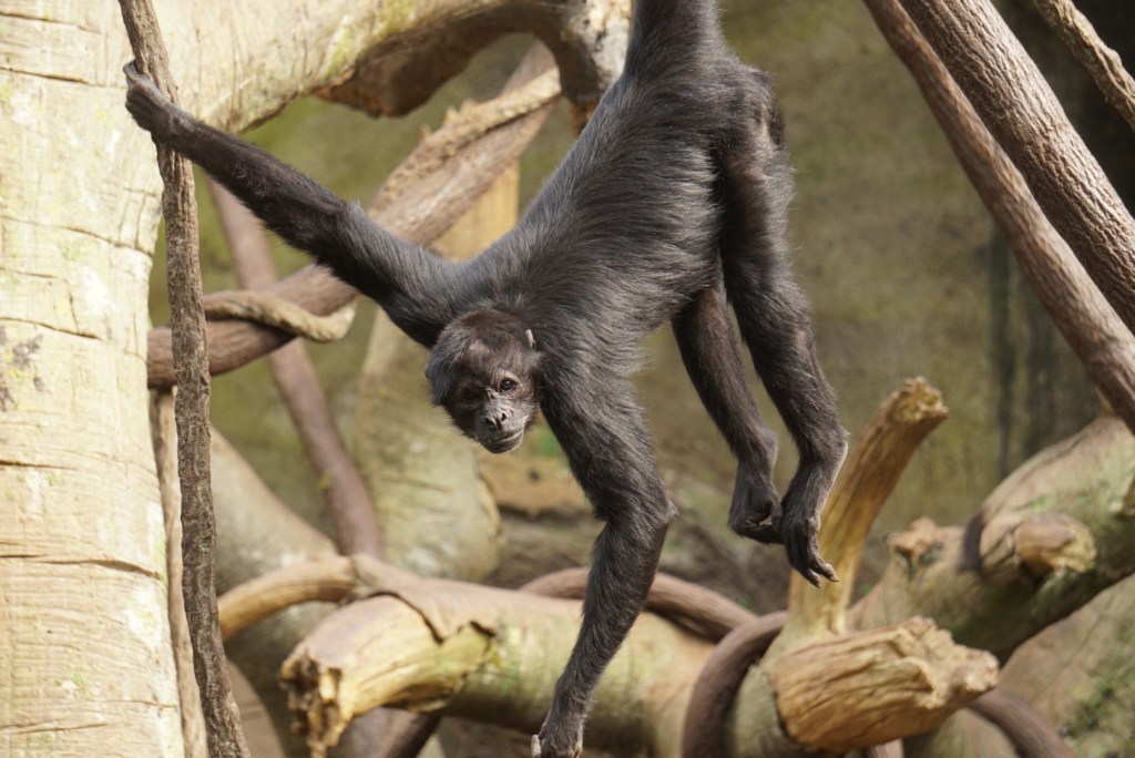 A Day At Omaha Zoo