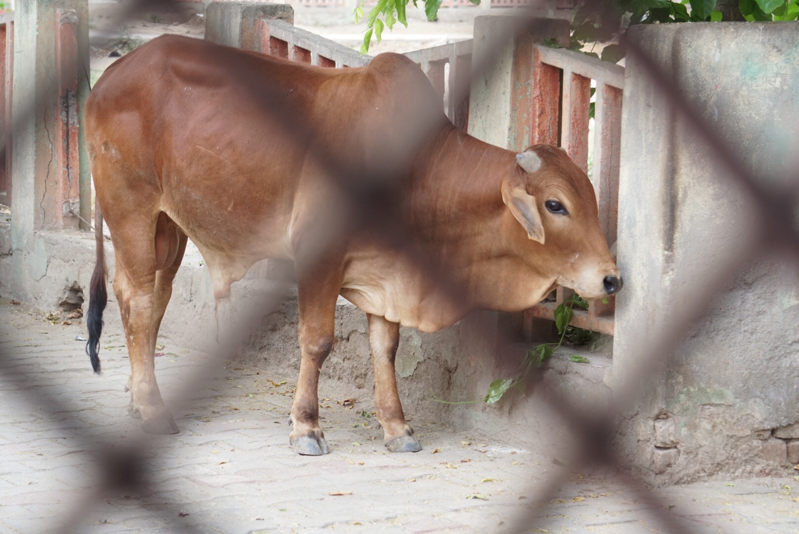 Behind Bars !!!