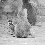 Today’s Photography