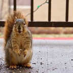 A Beautiful Relationship