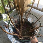 Away For 5 months, This Is What Happened