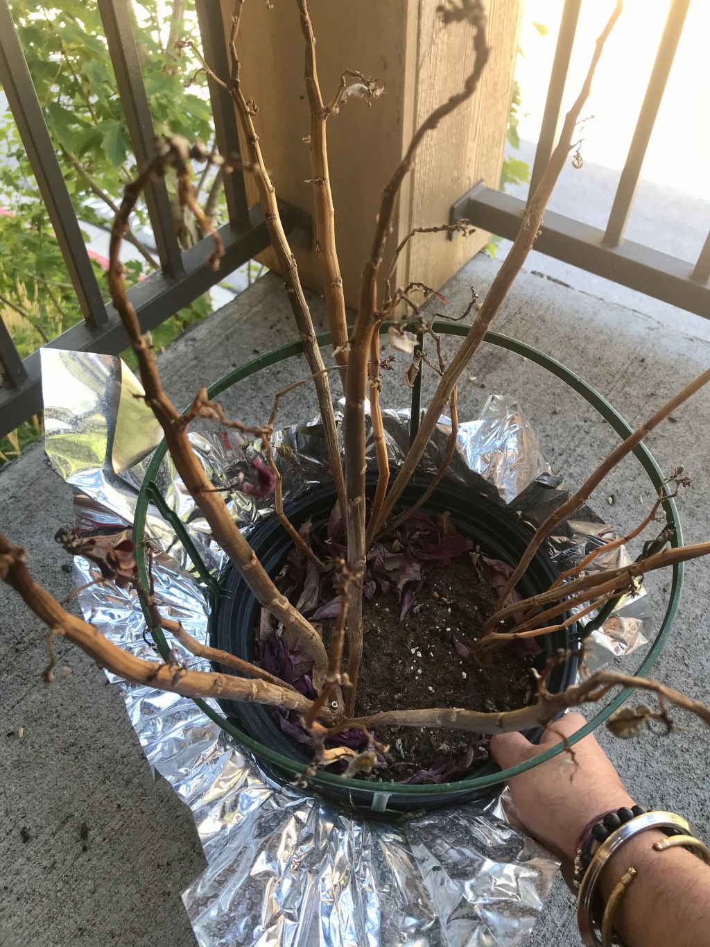 Away For 5 months, This Is What Happened