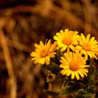 October Through My Lenses