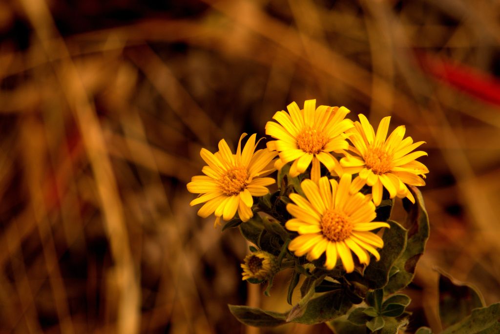 October Through My&nbsp;Lenses