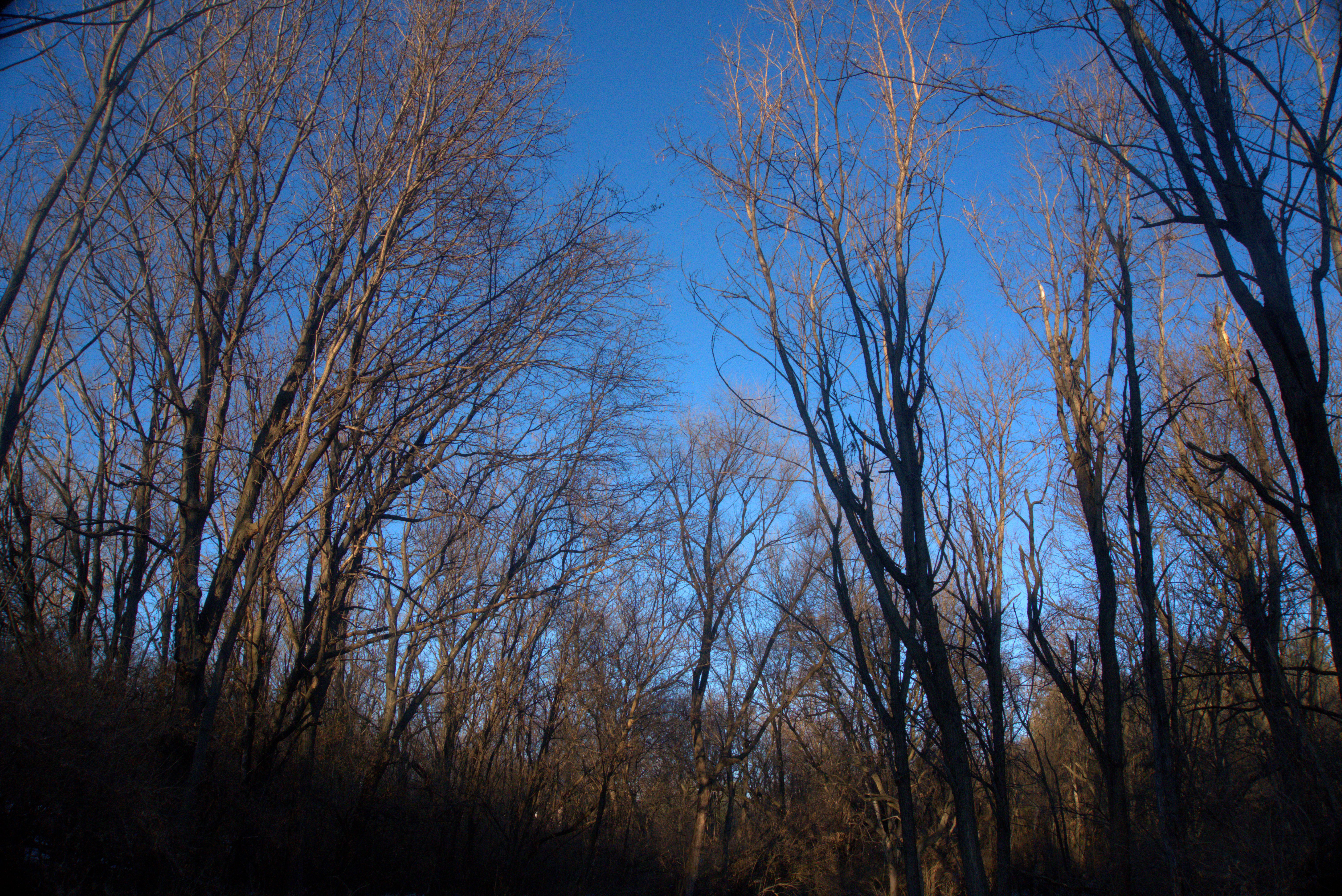 December Through My Lenses