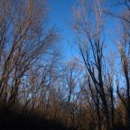 December Through My Lenses