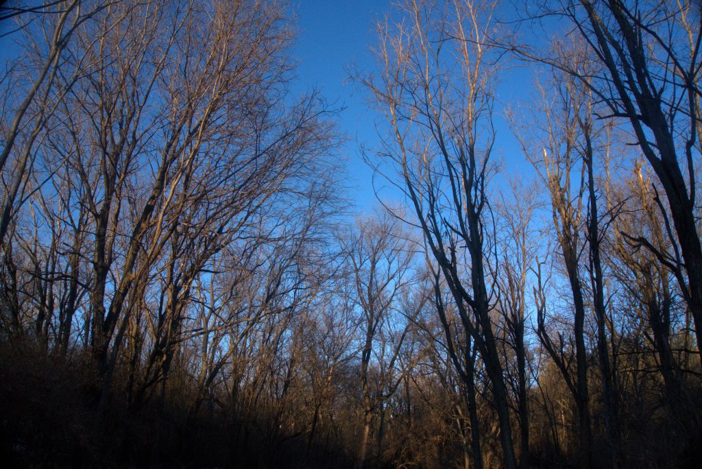 December Through My&nbsp;Lenses