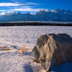 January 2021 Through My Lenses