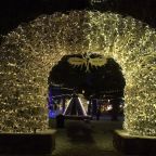 5 Things To Do In Jackson Hole In Winter