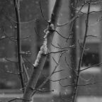 February 2021 Through My Lenses