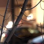 March 2021 Through My Lenses