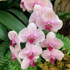 Lauritzen Gardens – 2021 All You Need To Know