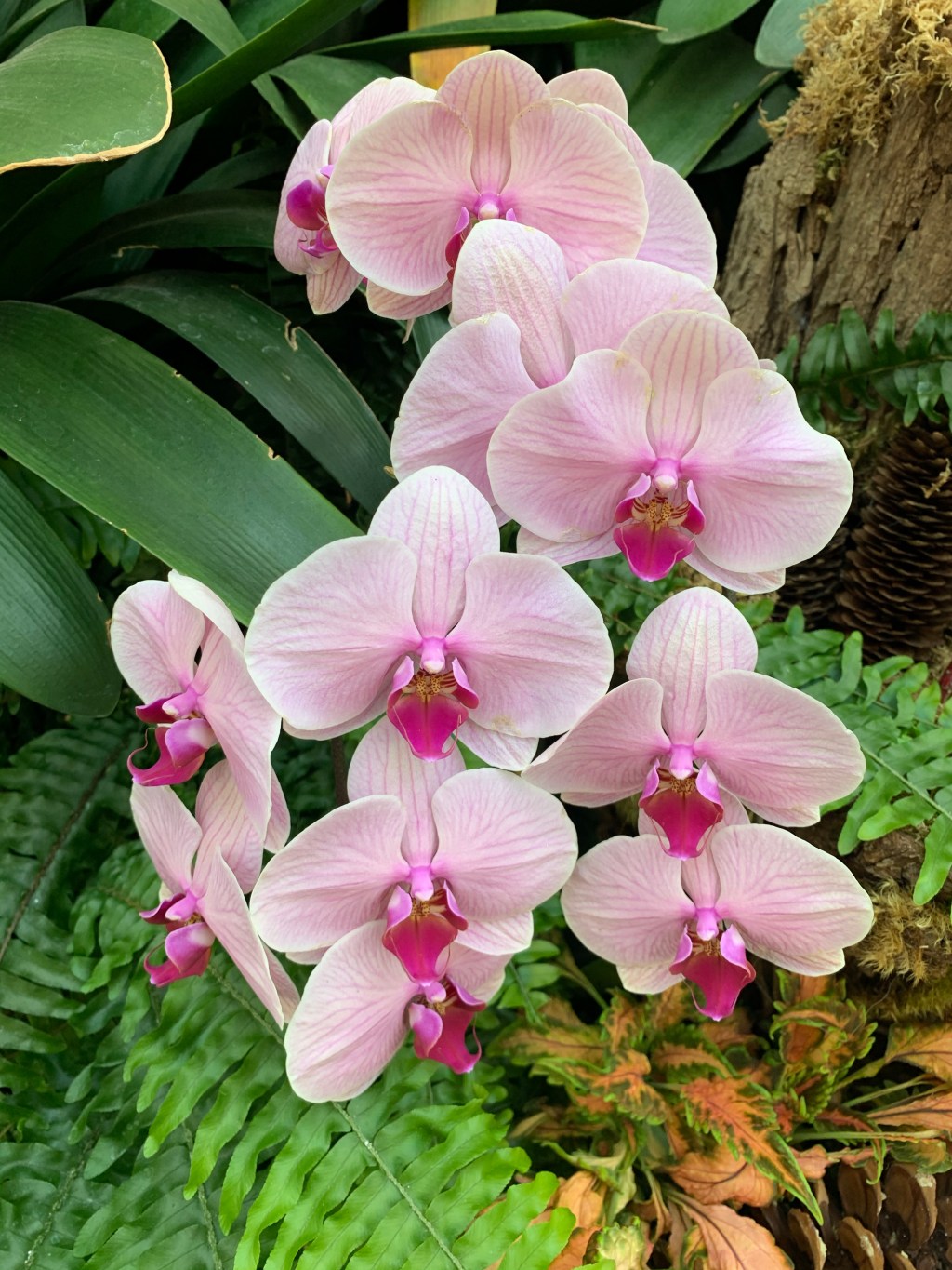 Lauritzen Gardens – 2021 All You Need To&nbsp;Know