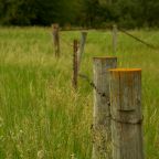 May 2021 Through My Lenses