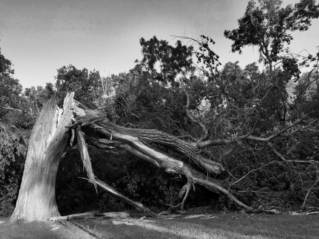 After-Effects Of The&nbsp;Storm
