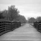 World Photography Day 2021