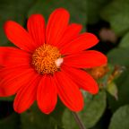 The Best Photographs Of 2021