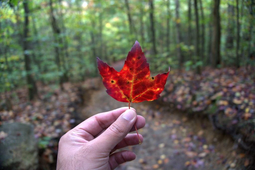 October 2021 Through My&nbsp;Lenses