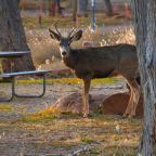 February 2022 Through The Lenses