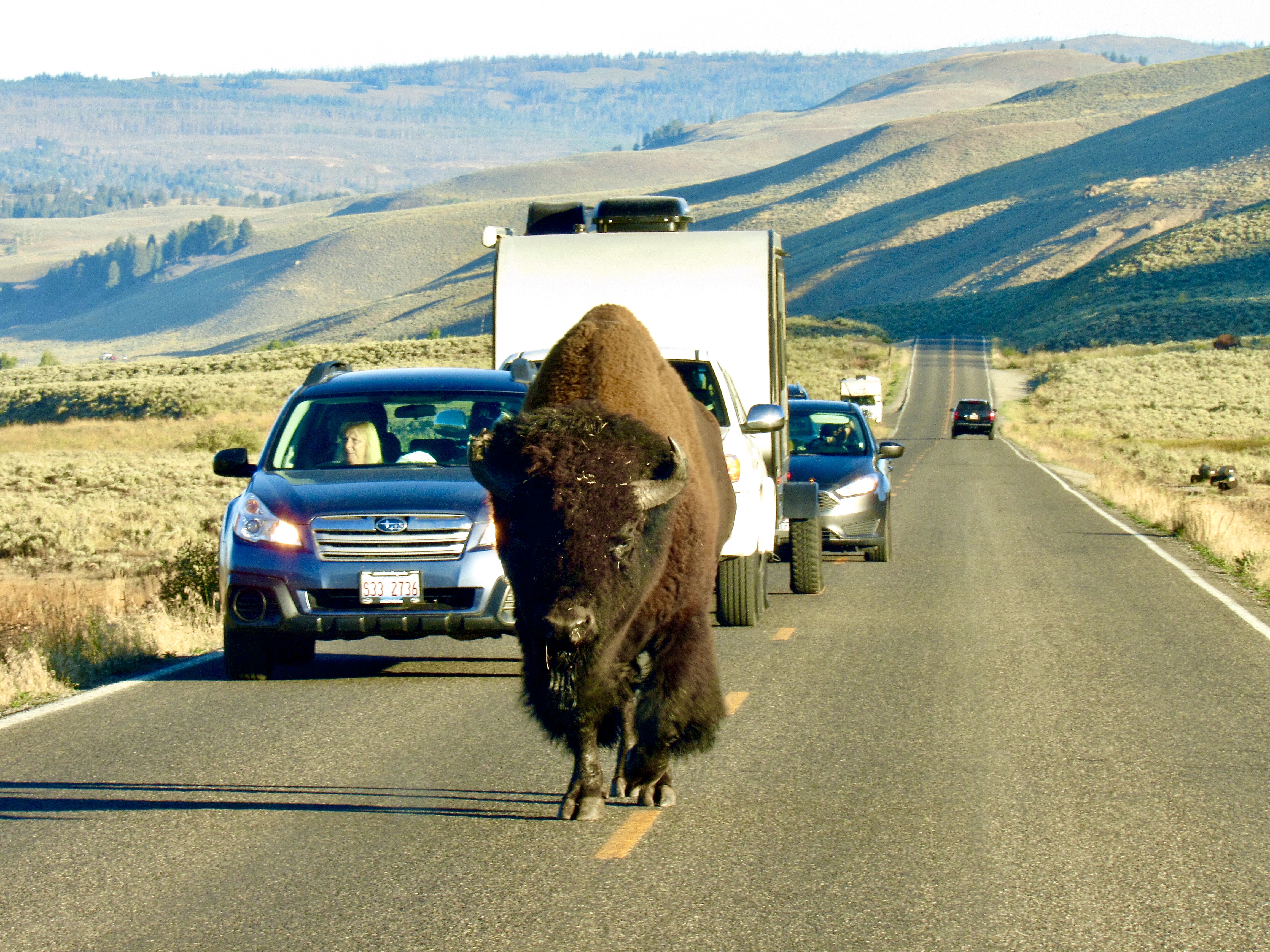 National Park Week – Day 6