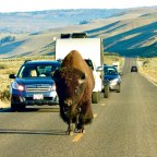 National Park Week – Day 6