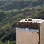 March 2022 Through The Lenses