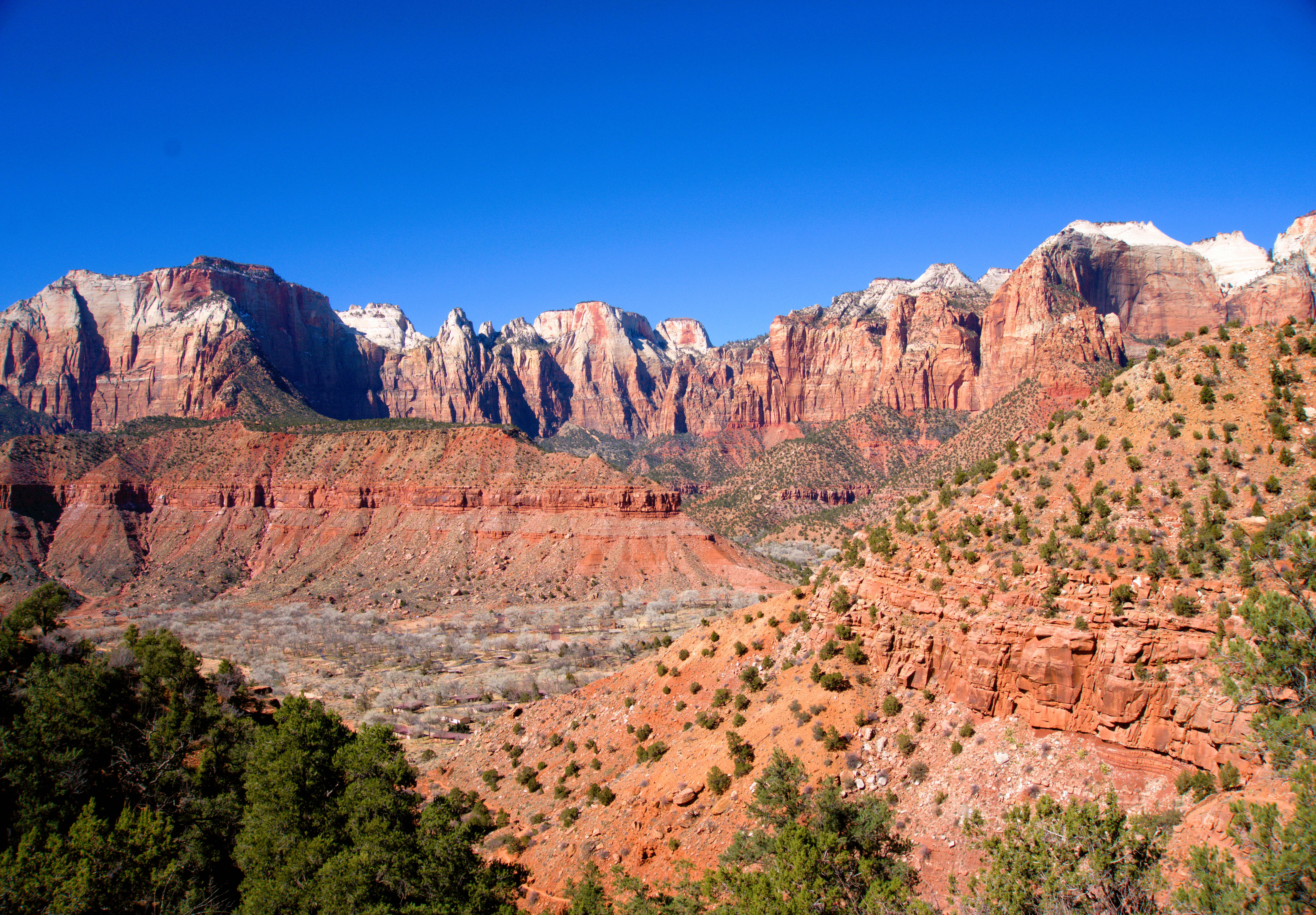 Family Road Trip to LA: Zion, Yosemite, Joshua Tree & More