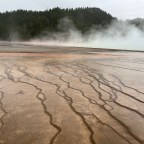 Diverse, Unique, Alluring