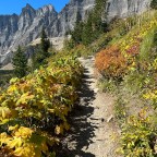 Earth Day – Celebration Through The Images