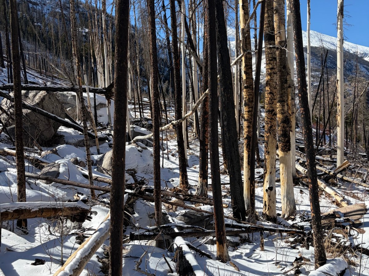 Our Journey Through Nature: A Photo&nbsp;Reflection