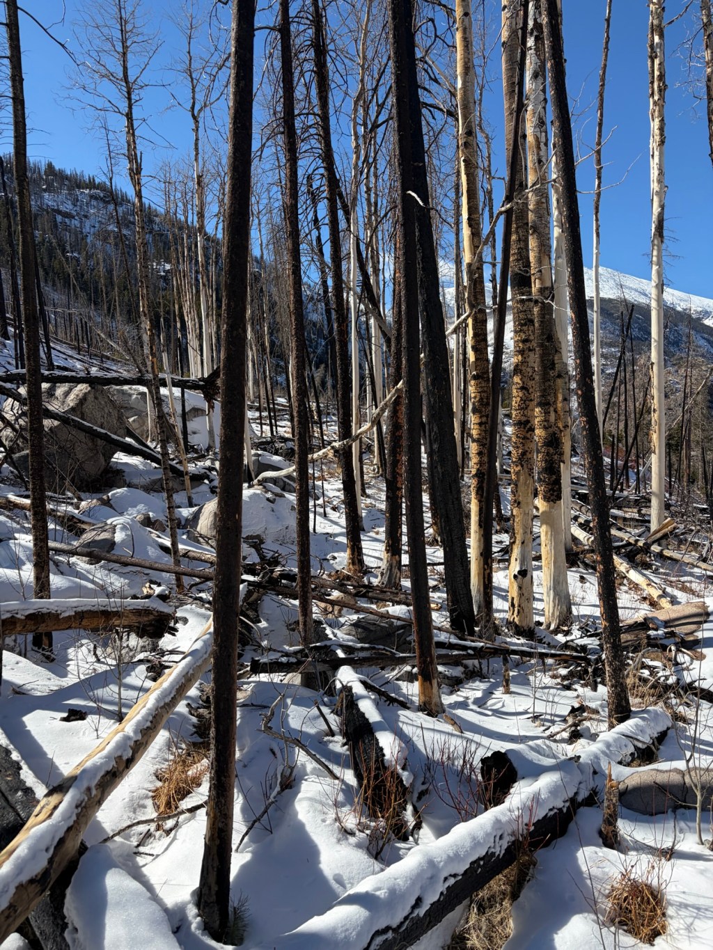 Our Journey Through Nature: A Photo&nbsp;Reflection