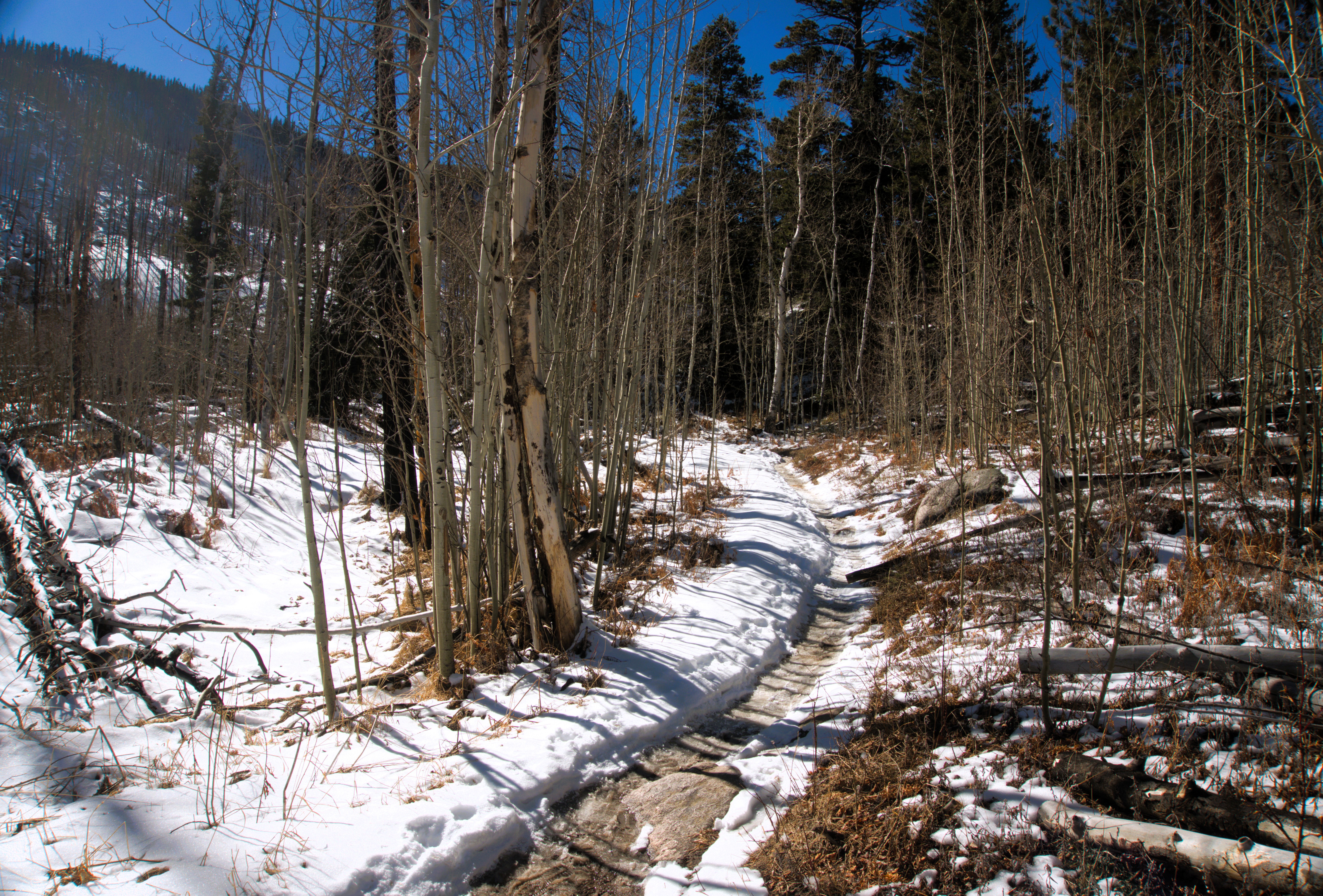 Guess the Mystery National Park: A Photo Journey
